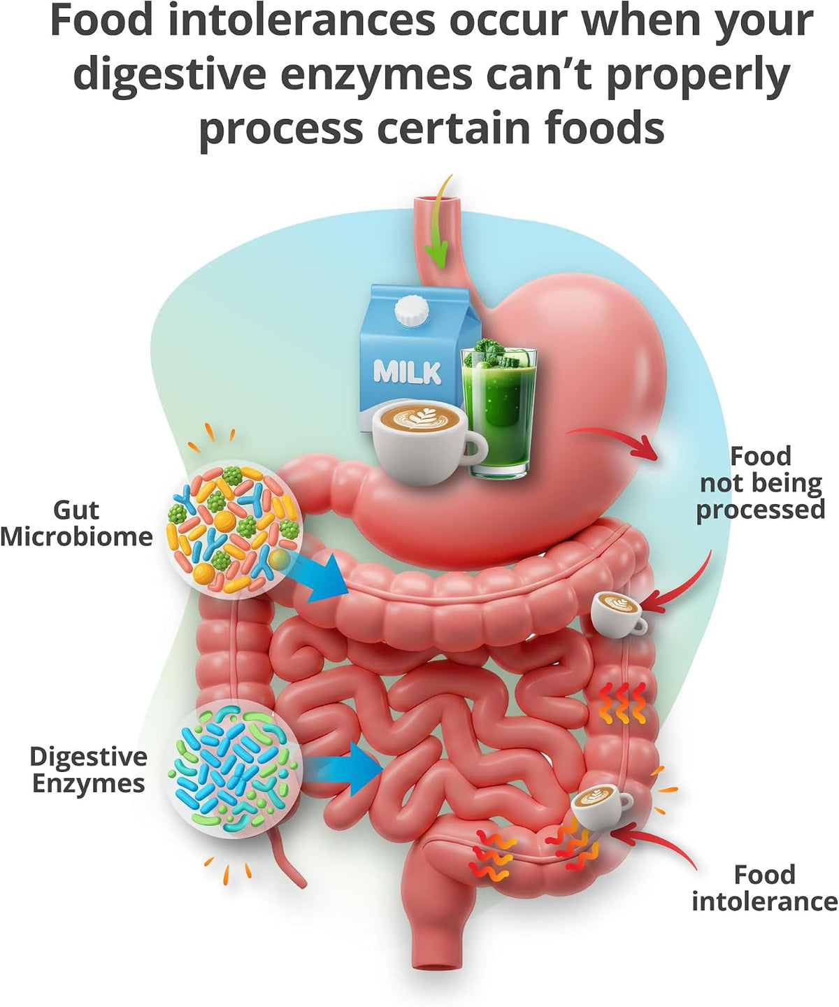 5Strands Food & Beverage Intolerance & Vitamins & Minerals Imbalance Test, at Home Hair Analysis for Adults & Kids, Digestive & Nutrient Insight, Results in 4 Days