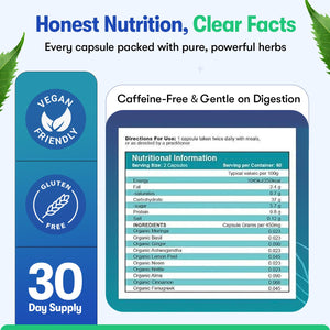 Zyzven Naturals Blood Sugar Support Supplement – 60 Vegan Capsules | Herbal Supplement with Moringa, Cinnamon, Ginger, Neem & Fenugreek | Plant-Based Wellness Supplement - Serving: 2 Capsules/Day Zyzven NaturalsBuy Supplements Australia