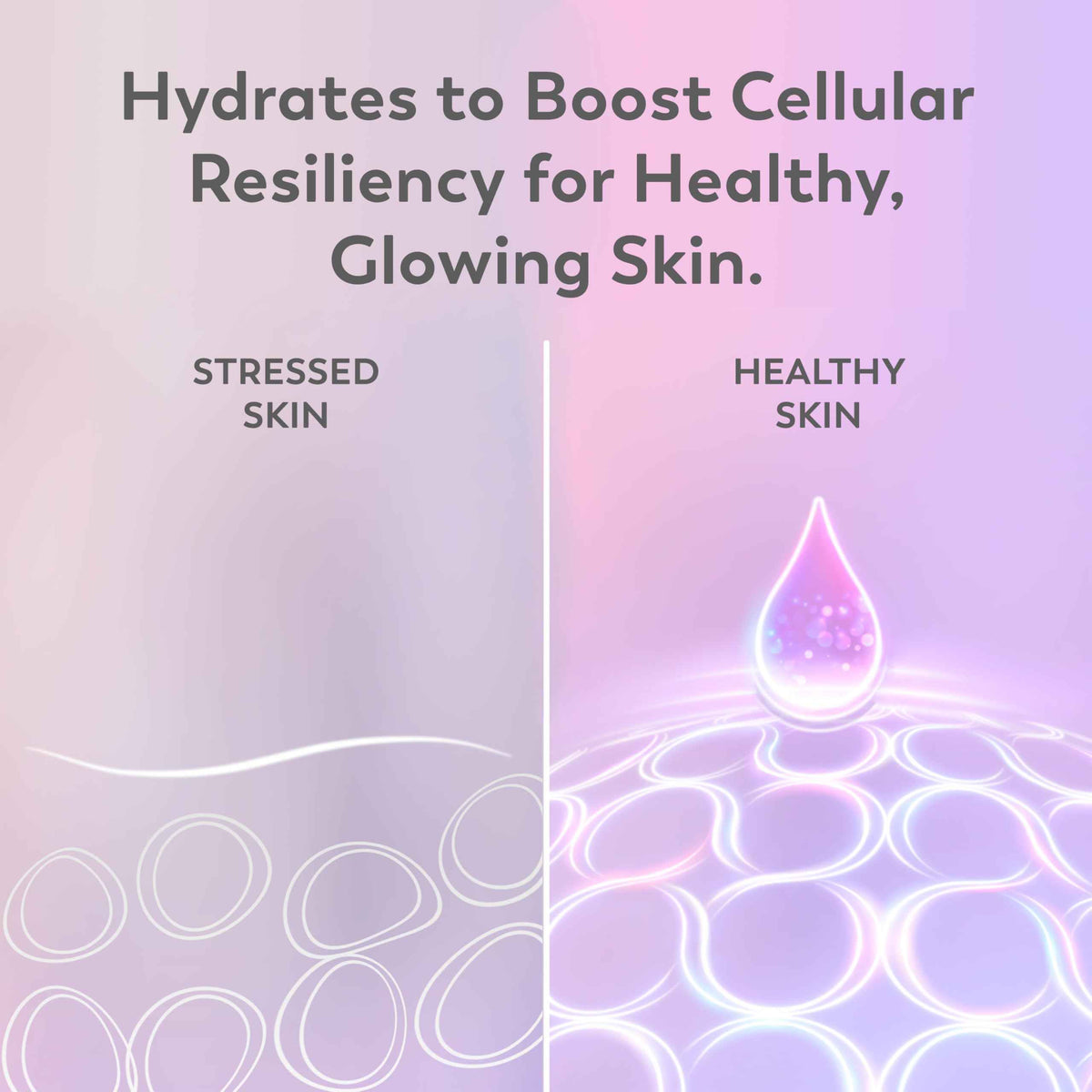 Olay Super Serum Night Repair, Fragrance-Free - Niacinamide, Peptide, Salicylic & Lactic Acid, Glycerin - 5-in-1 Skin Care Benefits - Hydrating, Evens Tone