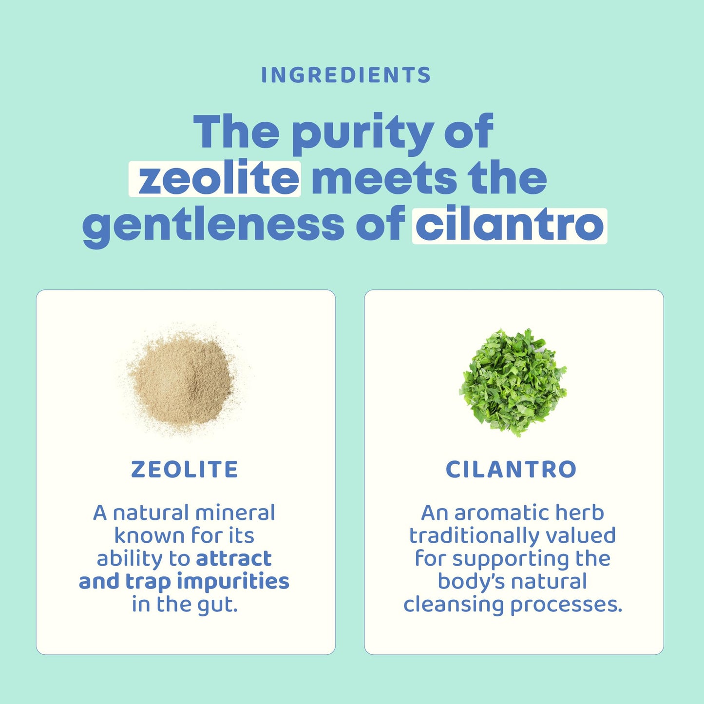 JoySpring DetoxZee Cilantro & Zeolite Drops for Kids | Liquid Zeolite Clinoptilolite with Cilantro Extract | Gentle Daily Wellness Support