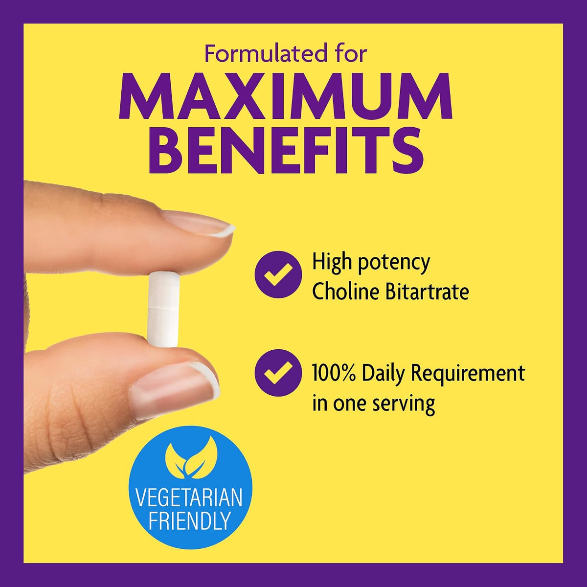 InnovixLabs Choline & Multi Probiotic Bundle Choline Bitartrate 550mg (100 Capsules) Multi Strain Probiotics (60 Capsules). Supports Memory, Mood, Brain Health & Boost Cognitive.*