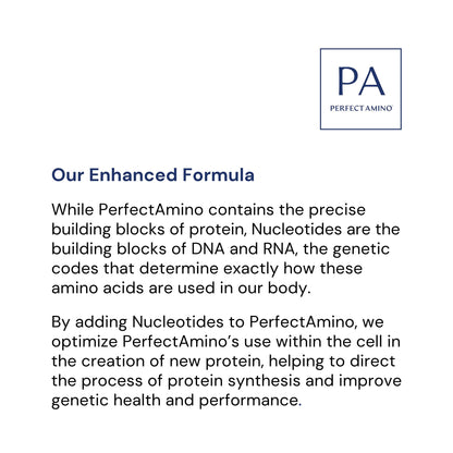 BodyHealth PerfectAmino (300 Tablets) Essential Amino Acid Supplement with EAA, Muscle Recovery, Boost Energy & Stamina, 99% Utilization