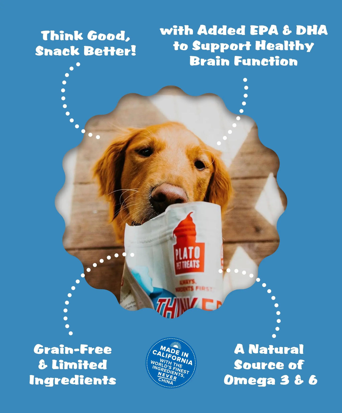 Plato Pet Treats Thinkers - Meat Stick Treats for Dogs - Limited Ingredient with EPA and DHA to Support Skin, Coat, and Brain - Air-Dried - Thinkers Salmon 10oz - 2 Pack