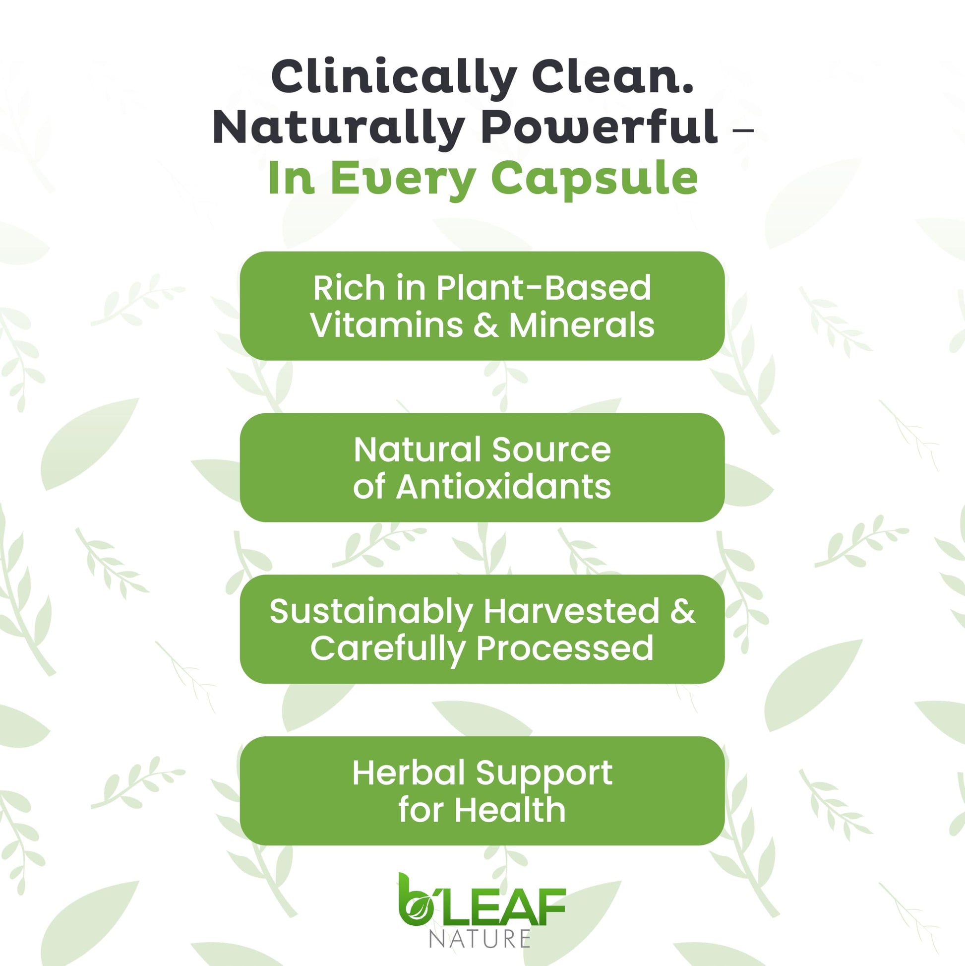 B'LEAF NATURE Moringa and Quercetin Bundle - Non-GMO, Vegan, High Absorption Capsules - 1000mg Quercetin Phytosome Blend + 1000mg Moringa - Natural Energy, Wellness and Immune Support Supplements B'LEAF NATURE buy supplements Au