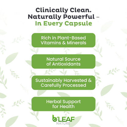 B'LEAF NATURE Moringa and Quercetin Bundle - Non-GMO, Vegan, High Absorption Capsules - 1000mg Quercetin Phytosome Blend + 1000mg Moringa - Natural Energy, Wellness and Immune Support Supplements B'LEAF NATURE buy supplements Au