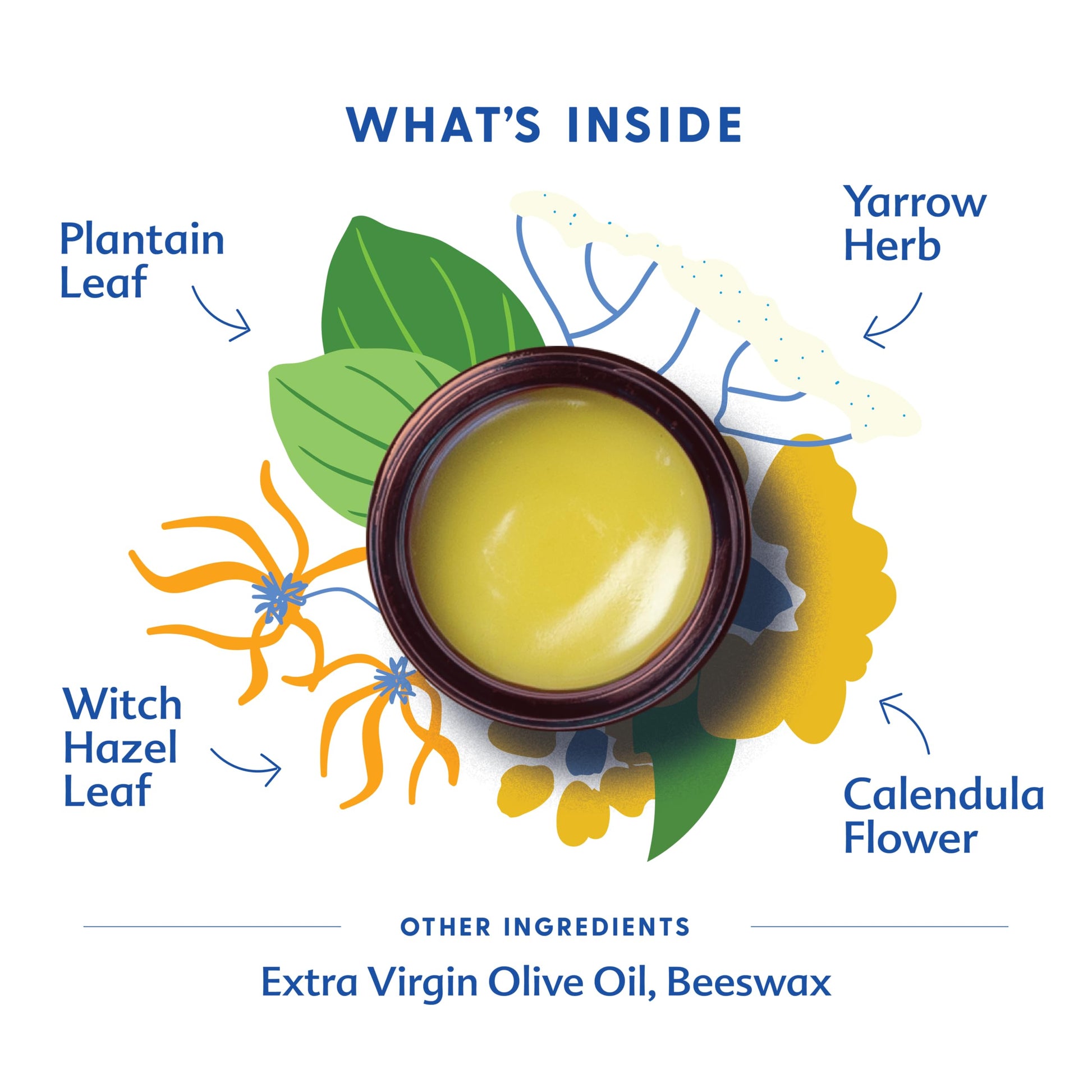 Motherlove Mom's Bottom Balm (1 oz) Organic Herbal Salve w/Witch Hazel for Bottoms During Pregnancy & Postpartum —Non-GMO Ointment MotherloveBuy Supplements Australia