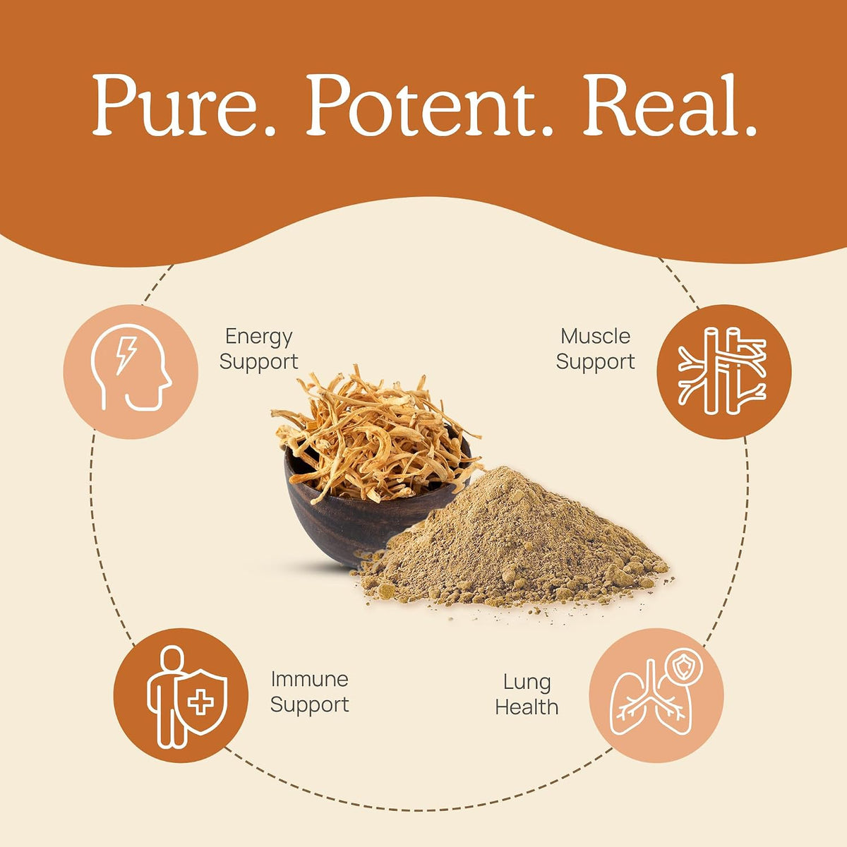 Real Mushrooms Lions Mane (120ct) and Cordyceps (120ct) Capsules Bundle - Mushroom Supplement for Cognition, Energy and Endurance