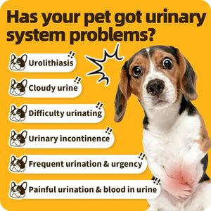 Cassiel Pet Bladder Supports Chews for Urinary Tract Health, Infection Treatments, Bladder Health, Dog UTI, Bladder Stones, Incontinence Support, Urinary Pain Relief for Cat & Dog 10 Chews (1 Bottle) Cassiel petBuy Supplements Australia