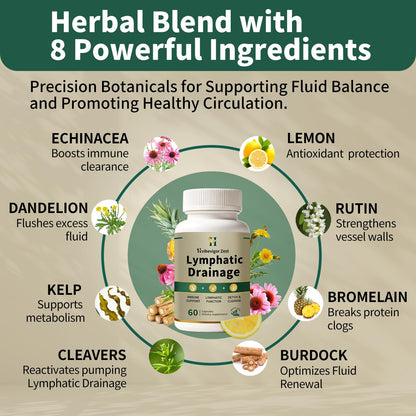 Lymphatic Drainage Supplement – Natural Herbal Formula with Dandelion, Burdock & Echinacea, Supports Fluid Balance, Immune Health & Cellulite Reduction – 60 Capsules HVibeVigor Zest buy supplements Au
