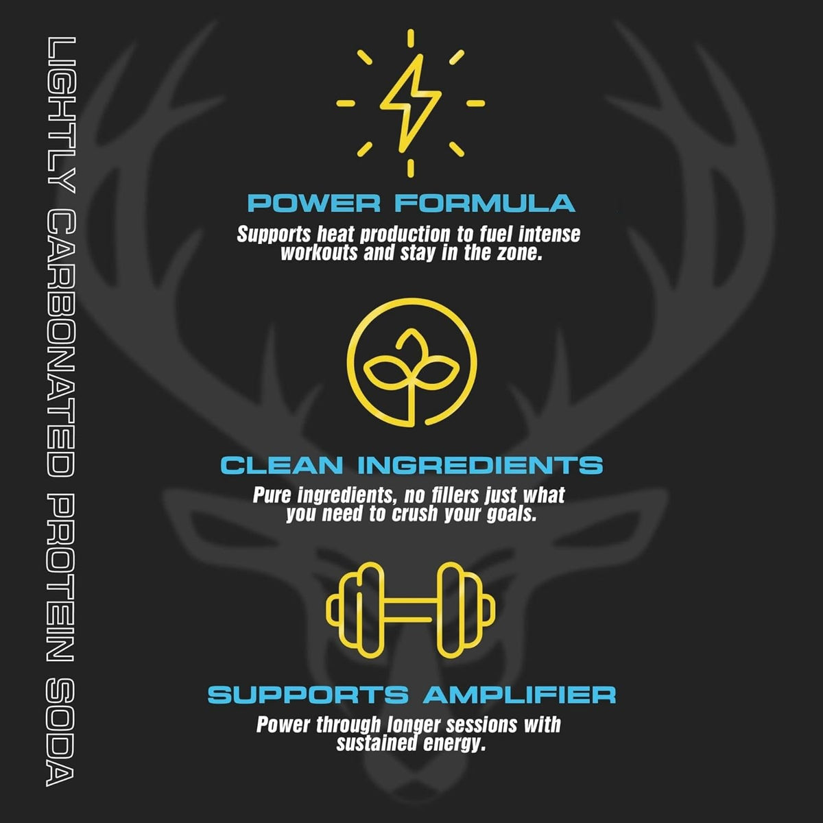 Bucked Up Lightly Carbonated Protein Soda | 25g Whey Isolate - Zero Sugar, Low Calorie, Caffeine Free, Clean Drink | Sparkling Protein Soda - 12 Pack, 16 oz Cans (Banana Pineapple)