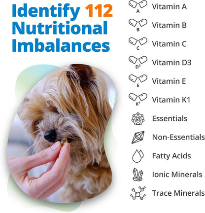 5Strands Pet Nutritional Imbalance & Food Intolerance & Environmental Sensitivity Test, At Home Hair Analysis for Dogs & Cats, Identify Nutrient Gaps & Dietary Stressors, Results in 4 Days