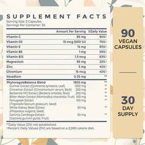 Sundhedsliv 16 in 1 Blxxd Sugr Effective Gymnema Sylvestre Supplement 2100MG | with Berberine, Cinnamon, Bitter Melon | Vitamins, Magnesium & Chromium | 90 Vegan Capsules SundhedslivBuy Supplements Australia