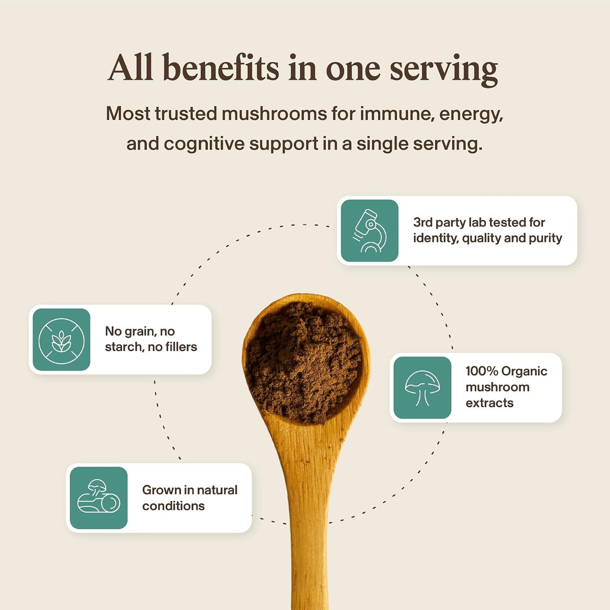 Real Mushrooms 5 Defenders Mushroom Complex Powder – Organic Mushrooms Extract from Chaga, Reishi, Turkey Tail, Maitake & Shiitake Mushroom Blend for Wellness Support with Beta Glucans - 100 Servings