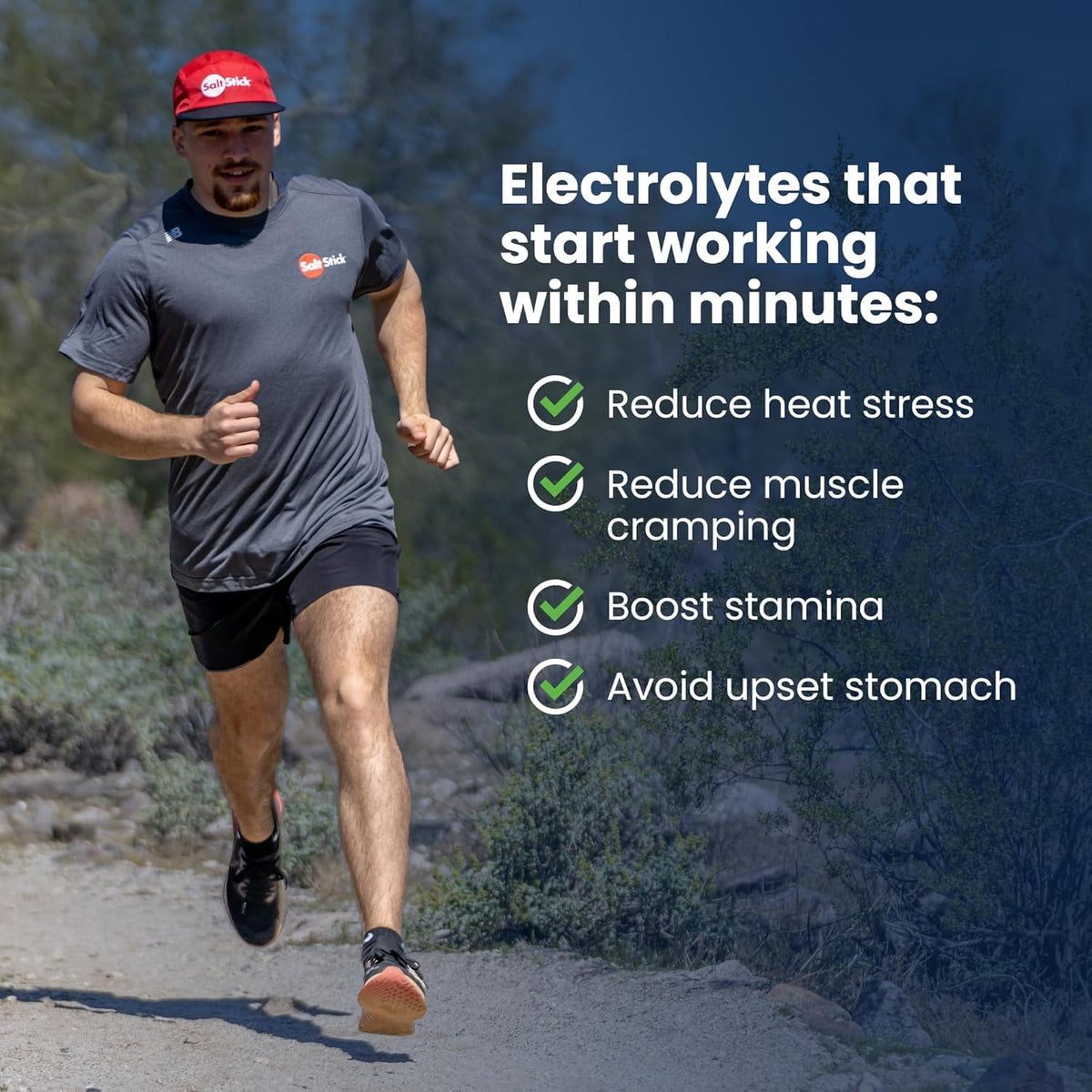 SaltStick Electrolyte FastChews Best Sellers Variety Pack - 90 Tablets