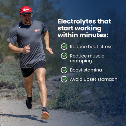 SaltStick Electrolyte FastChews Best Sellers Variety Pack - 90 Tablets