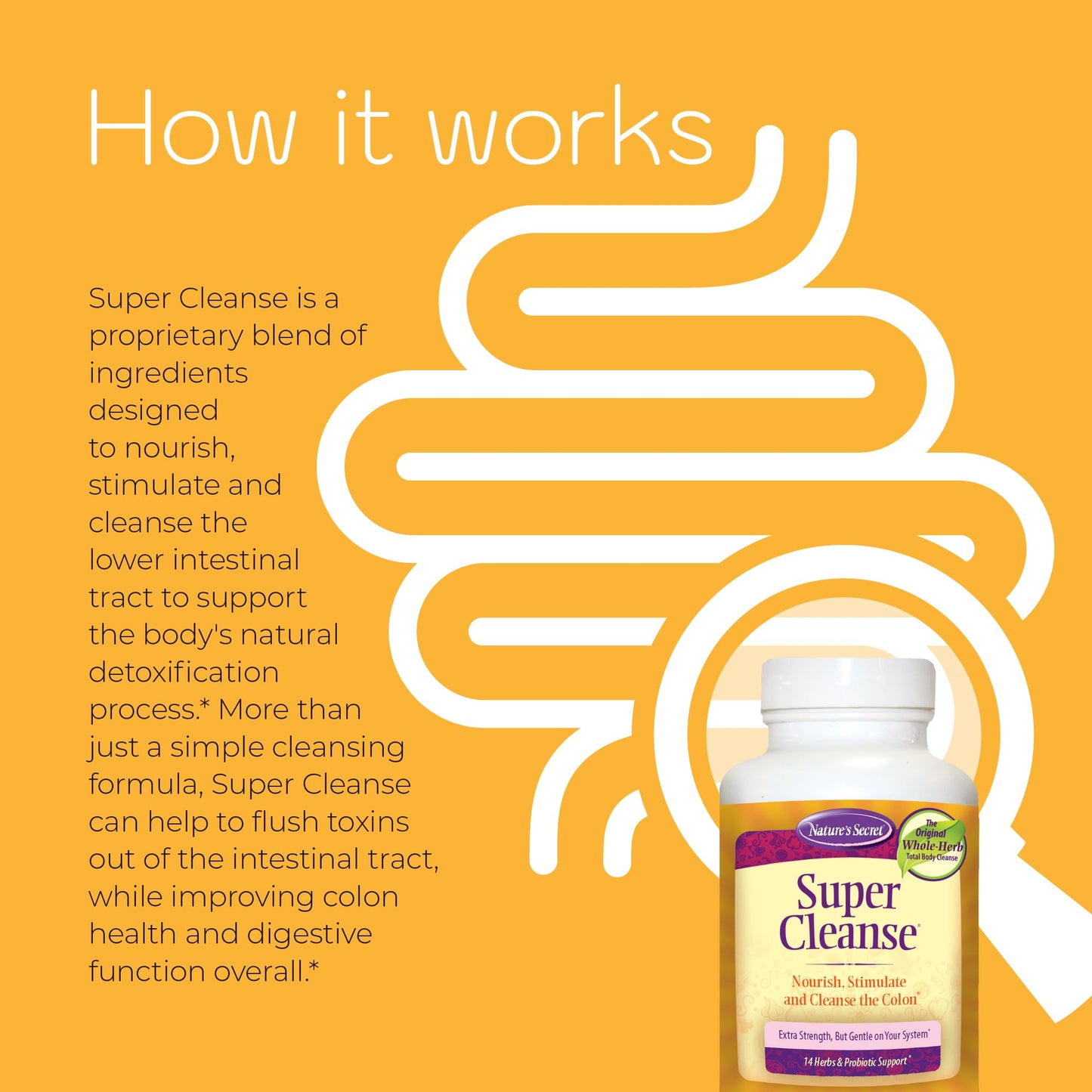 Nature’s Secret Super Cleanse - Extra Strength Colon Cleanse with 14 Herbs & Probiotic Support - Promotes Gut Health Detox Cleanse & Digestive Support