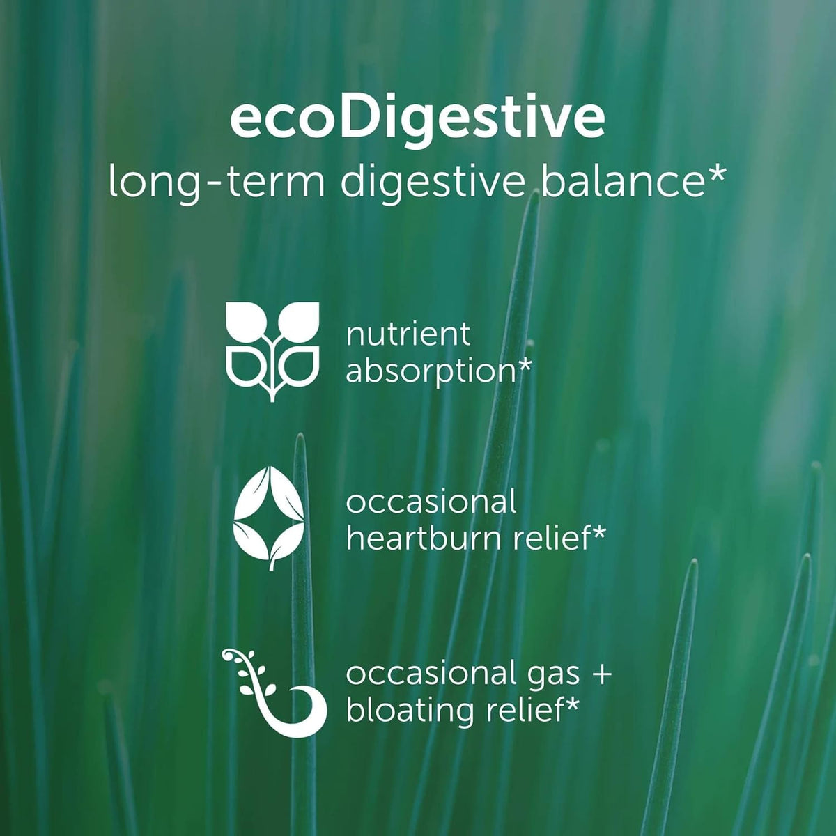 EcoNugenics EcoDigest Digestive Health Supplement - 60 Capsules- Digestive Support - Herbs, Medicinal Mushrooms & Enzymes