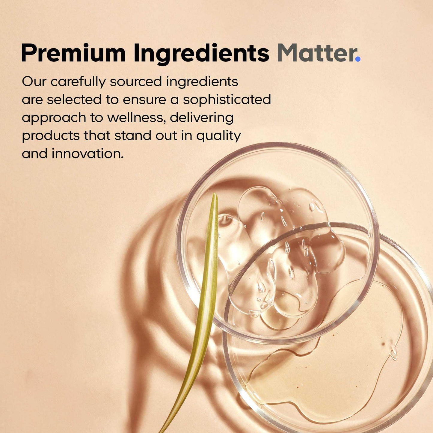 Codeage Akkermansia Muciniphila Probiotic Supplement - 3-Month Supply of Akkermansia & Chicory Inulin - Daily Synbiotic Probiotic Chicory Root - 100 Million AFUs - Gluten-Free - 90 Capsules CodeageBuy Supplements Australia