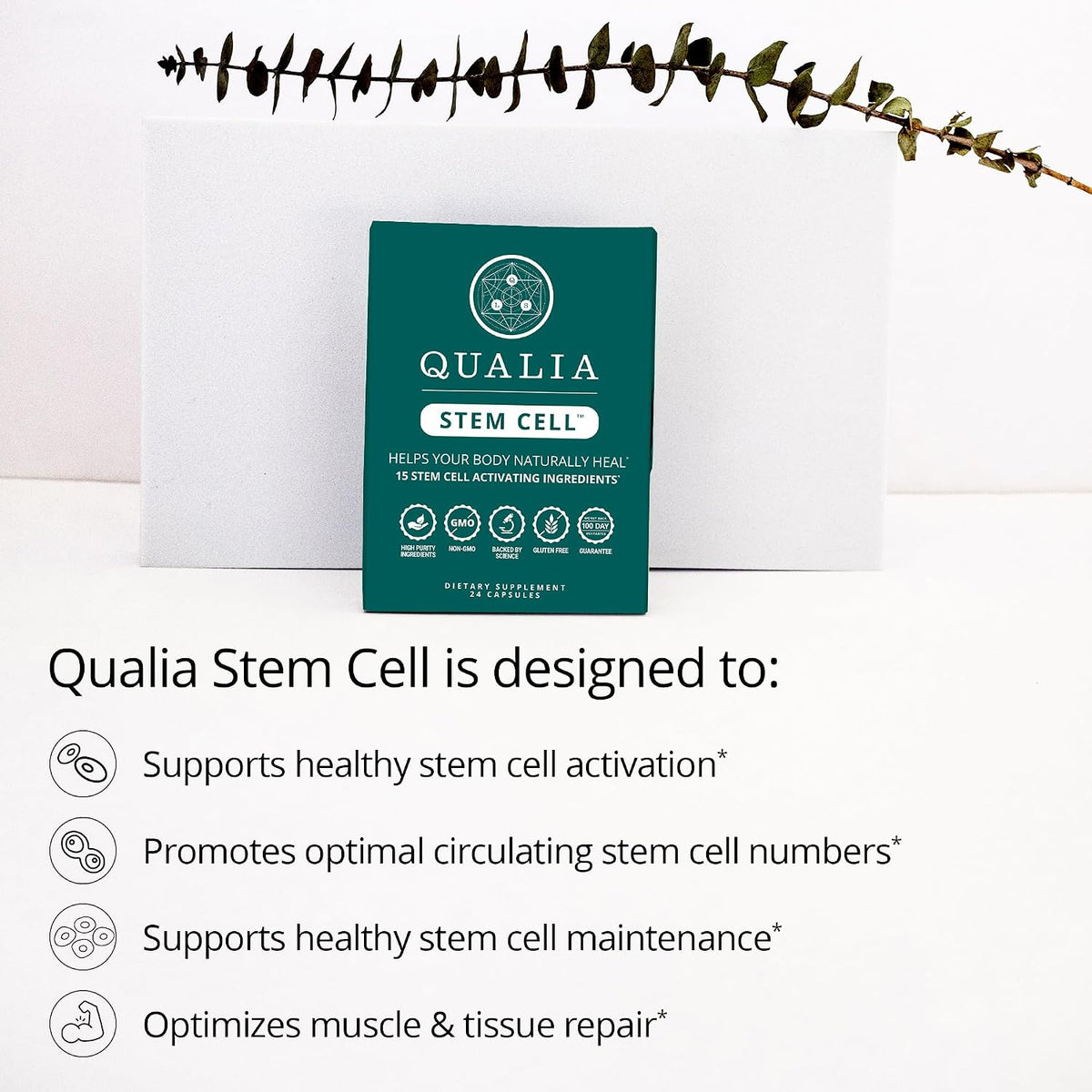 Qualia Senolytic & Qualia Stem Cell | Advanced Cellular Renewal System | Supports Healthy Aging Repair & Rejuvenation | 1-Month Supply Bundle