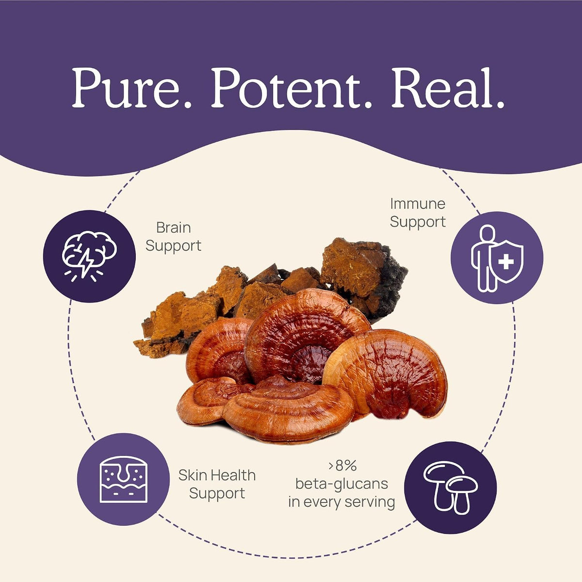 Real Mushrooms Vitamin D2, Zinc, Chaga, Reishi (120ct) and Lion's Mane (300ct) Bundle - Immunity and Cognitive Support, Chelated Zinc for Improved Absorption - Vegan, Gluten Free, Non-GMO