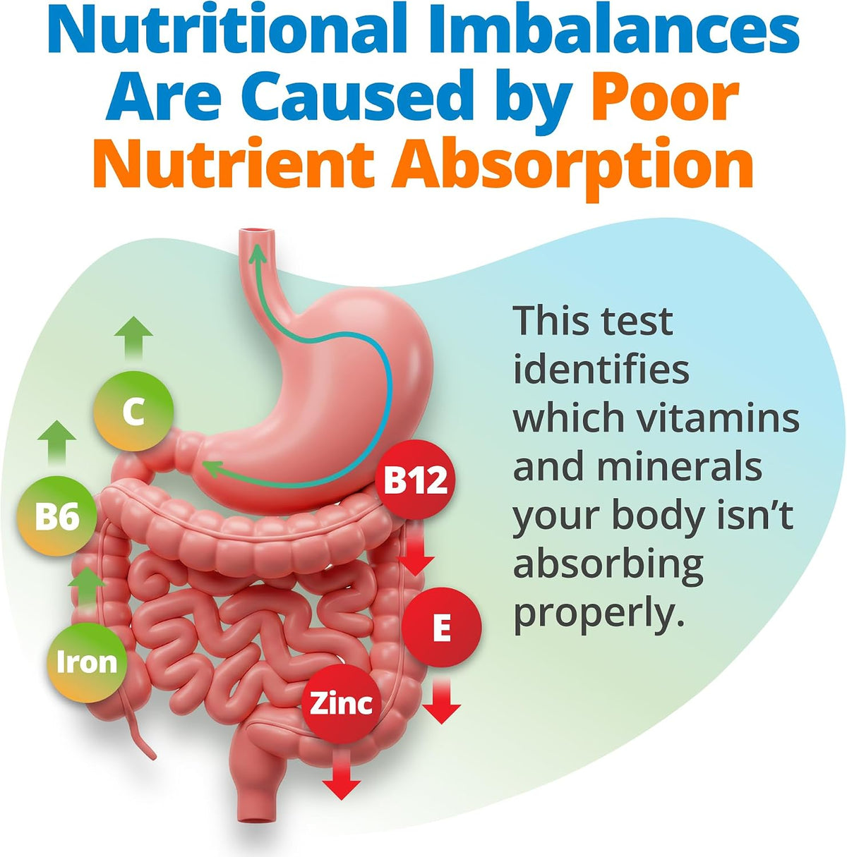 5Strands Vitamin & Mineral Imbalance Test, 150 Items Tested