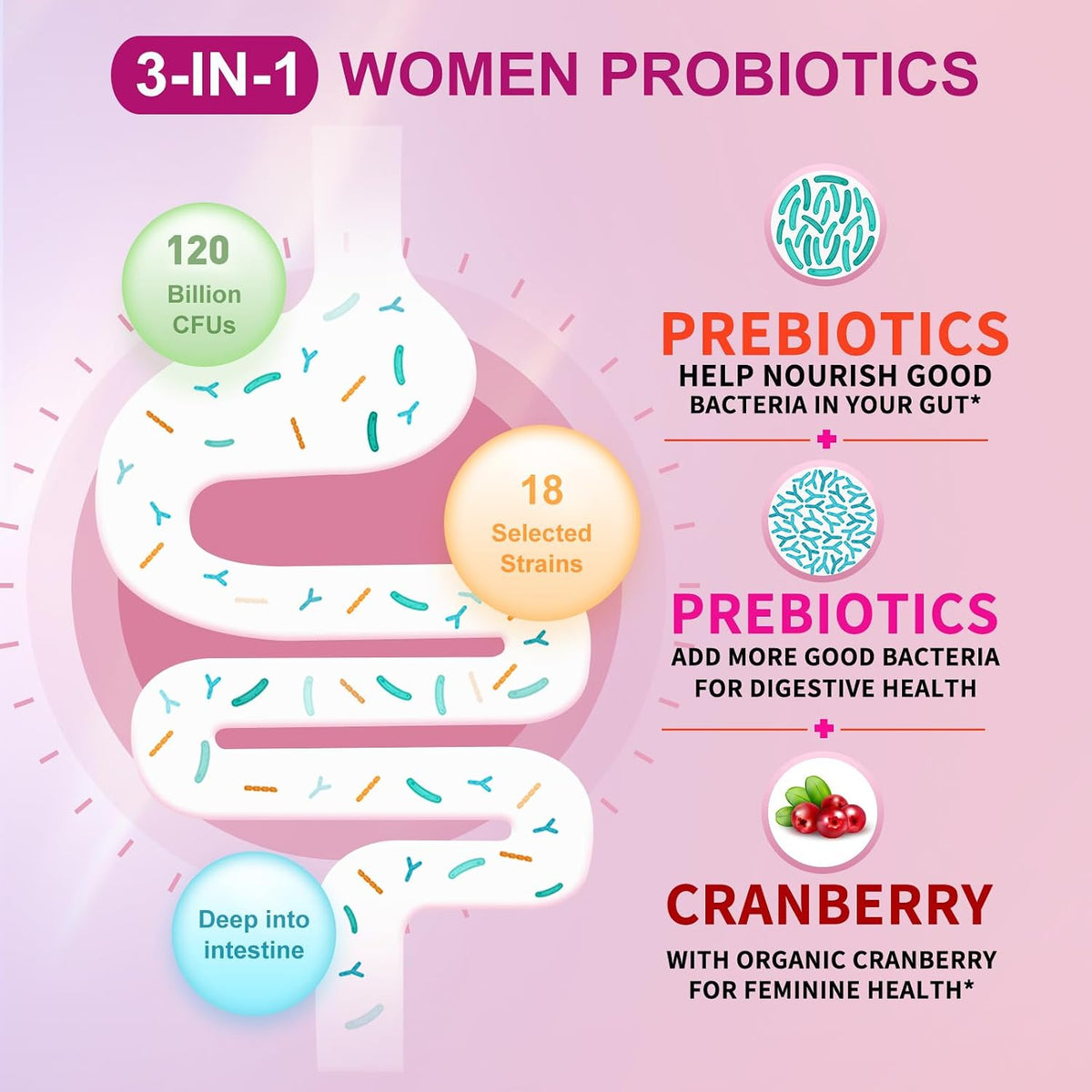 OMOGS Women's Probiotic, with Cranberry Extract, Organic Prebiotics & Vitamin C, 120 Billion CFUs,18 Strains, Help for Boost Immune, Digestive, Gut Health & Women's Health,120 Tablets
