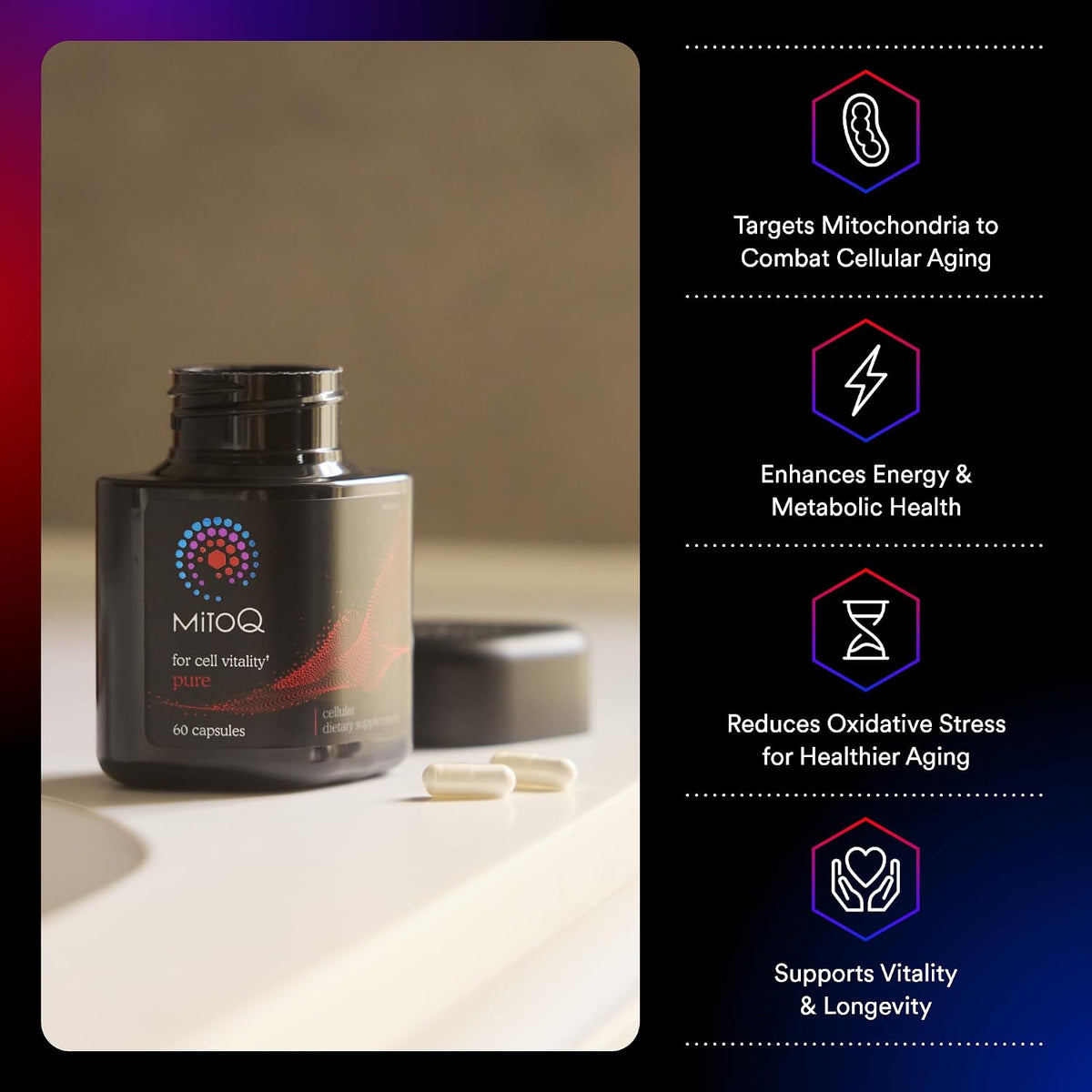 MitoQ Ultimate Antioxidant Bundle: Mitochondria-Targeted and Heart Health Antioxidant Supplements | Supports Cellular Longevity, Cardiovascular Health, Energy, and Healthy Aging (2 x 60 Capsules)