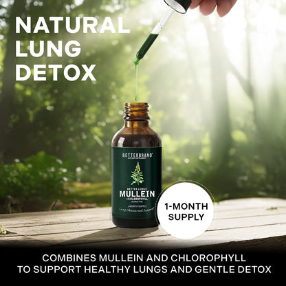 Betterbrand Mullein Drops for Lung Detox - Mullein Leaf Tincture with Chlorophyll - Helps Support Respiratory Health