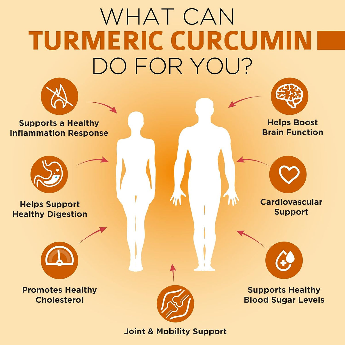 OmniBiotics Myo-Inositol + Turmeric Curcumin