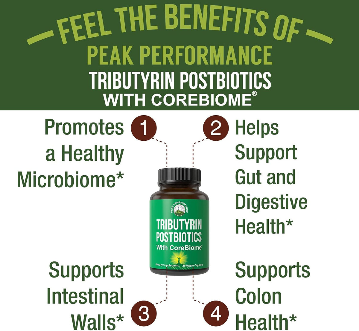 CoreBiome Tributyrin Postbiotic Supplement Clinically Tested for Gut Health. More Effective Than Sodium Butyrate Capsules. High Bioavailability Post Biotics for Digestive, Leaky Gut, Colon, Microbiome