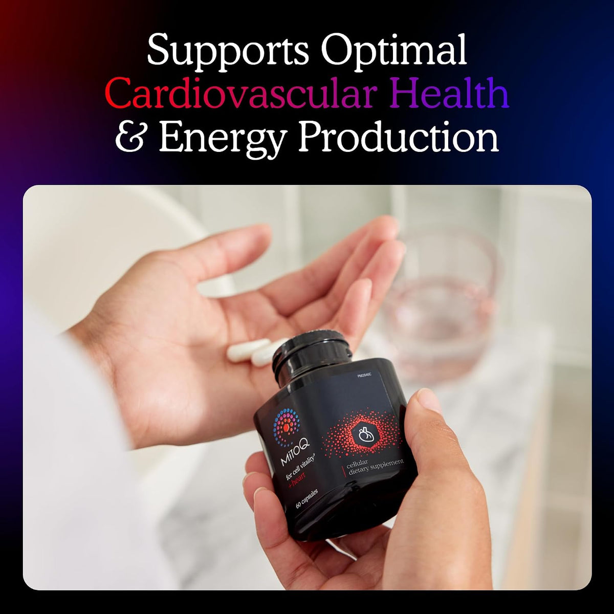 MitoQ Ultimate Antioxidant Bundle: Mitochondria-Targeted and Heart Health Antioxidant Supplements | Supports Cellular Longevity, Cardiovascular Health, Energy, and Healthy Aging (2 x 60 Capsules)