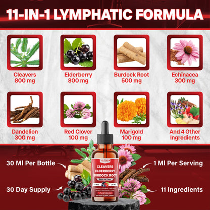 Tenmido 11in1 Lymphatic Drainage Drops with Cleavers, Elderberry, Burdock Root, Echinacea, Dandelion, Red Clover, Marigold, Blue Vervain, Ginger, Licorice, Rosehip - 30 Days Supply - 1FL Oz Tenmido buy supplements Au