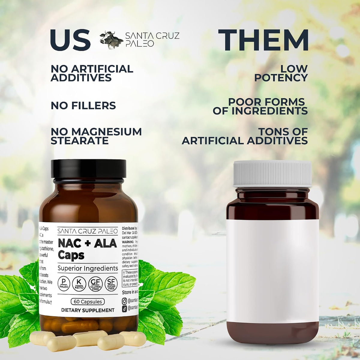 Santa Cruz Paleo, NAC + ALA Caps, NAC Supplement and Antioxidant Complex with Alpha Lipoic Acid and N-Acetyl Cysteine, Cellular Support and Nutrient Balance, Gluten Free, Keto, Paleo, 60 Capsules