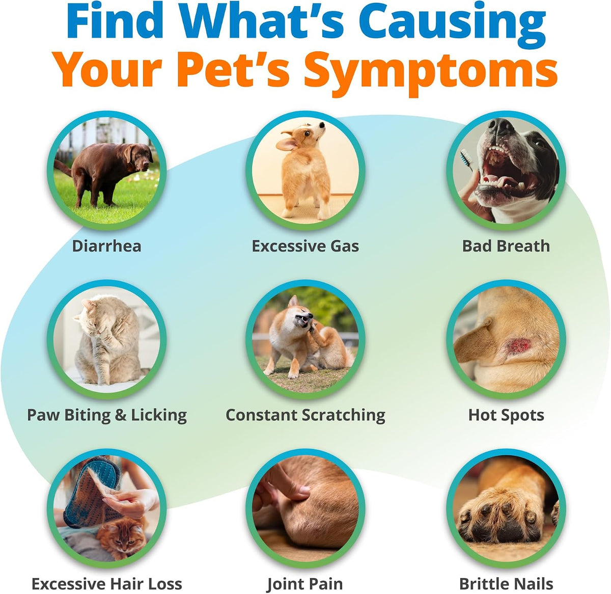 5Strands Comprehensive Pet Health Assessment, 1500 Items Tested, All Breeds