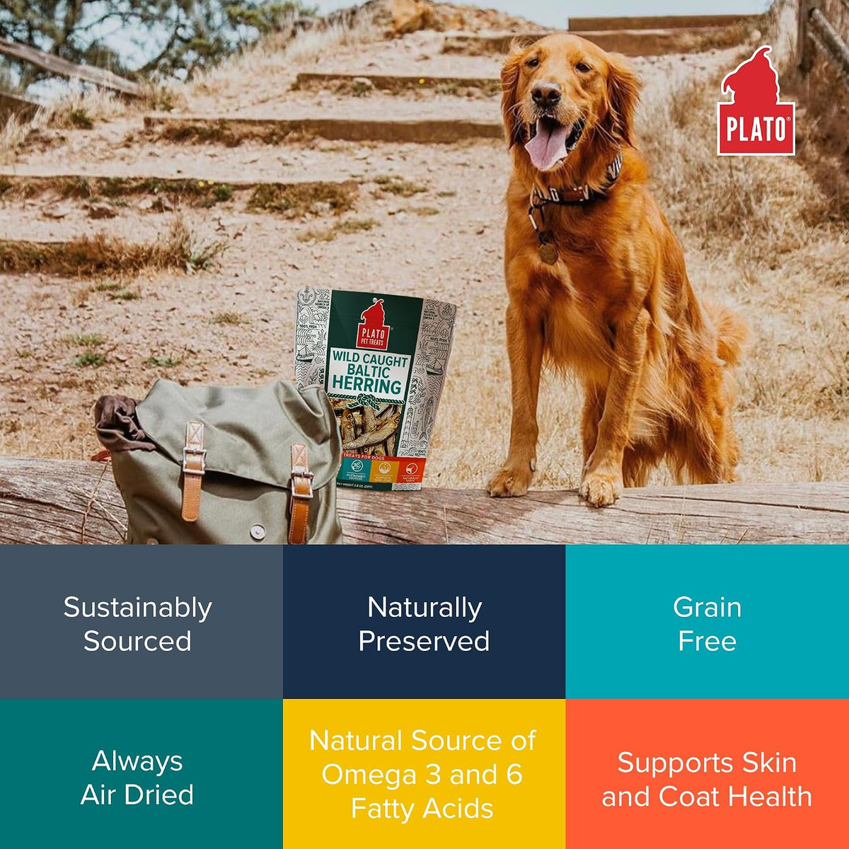 Plato Pet Treats Fish Dog Treats - Air-Dried, Single Ingredient Pet Treat - Omega 3 & 6 Fatty Acids to Support Skin and Coat - 100% Whole Fish - Wild Caught Baltic Herring - 3oz - 2 Pack
