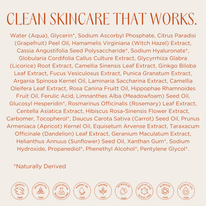 InstaNatural Vitamin C Face Serum, Brightens, Hydrates and Reduces Signs of Aging, with Vitamin C, Hyaluronic and Ferulic Acid, 1 FL Oz