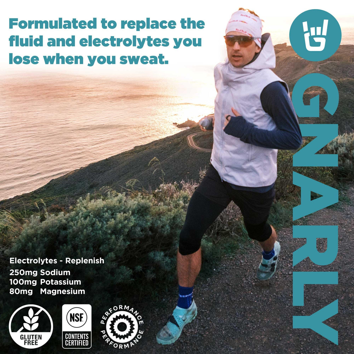 Gnarly Nutrition Hydrate Electrolyte Powder – Orange Pineapple Exercise Hydration Drink Mix – NSF Sport Certified – Electrolyte Solution, Performance & Recovery – Orange Pineapple, 14.10 oz