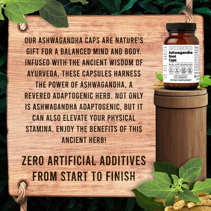 Santa Cruz Paleo Ashwagandha Capsules, 600mg Ashwagandha Root per Capsule, Gluten Free, Keto, Sugar Free, Paleo, Supports Energy, Focus, and Relaxation, BioPerine for Fast Absorption, 60 Capsules