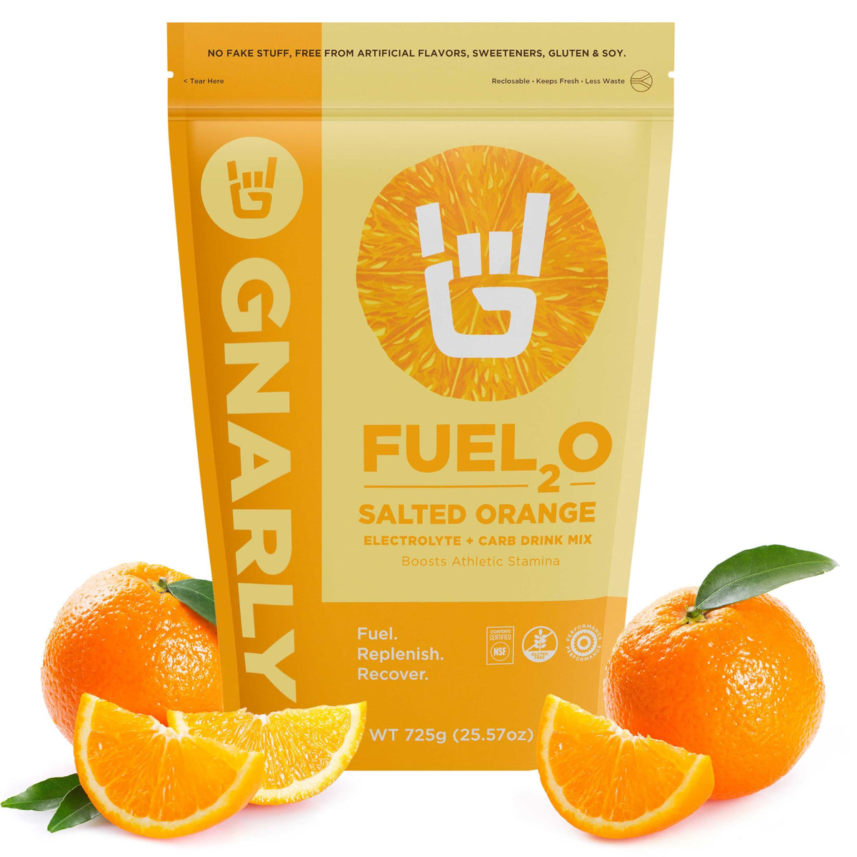 Gnarly Nutrition Fuel2O Electrolyte Powder, Limeade – NSF Sport Certified – Electrolyte Solution, Fuel, Replenishment, and Recovery – Fuel2O Endurance Nutrition – Limeade, 25.57 oz