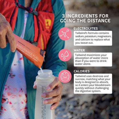 Tailwind Nutrition Endurance Fuel, Berry, 12 Servings