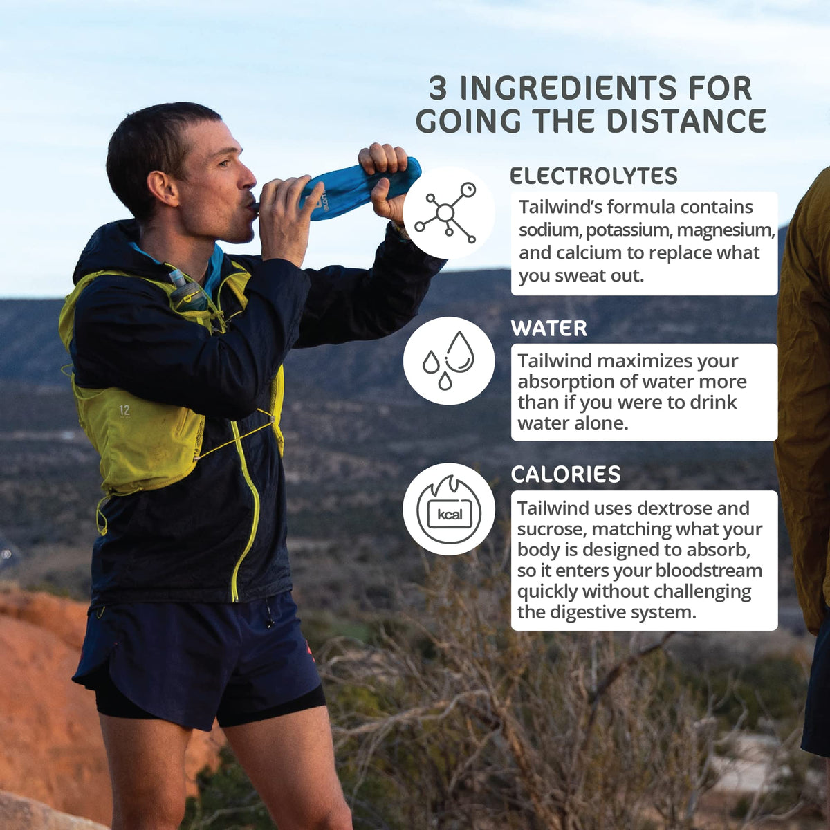 Tailwind Nutrition Endurance Fuel, Berry, 12 Servings