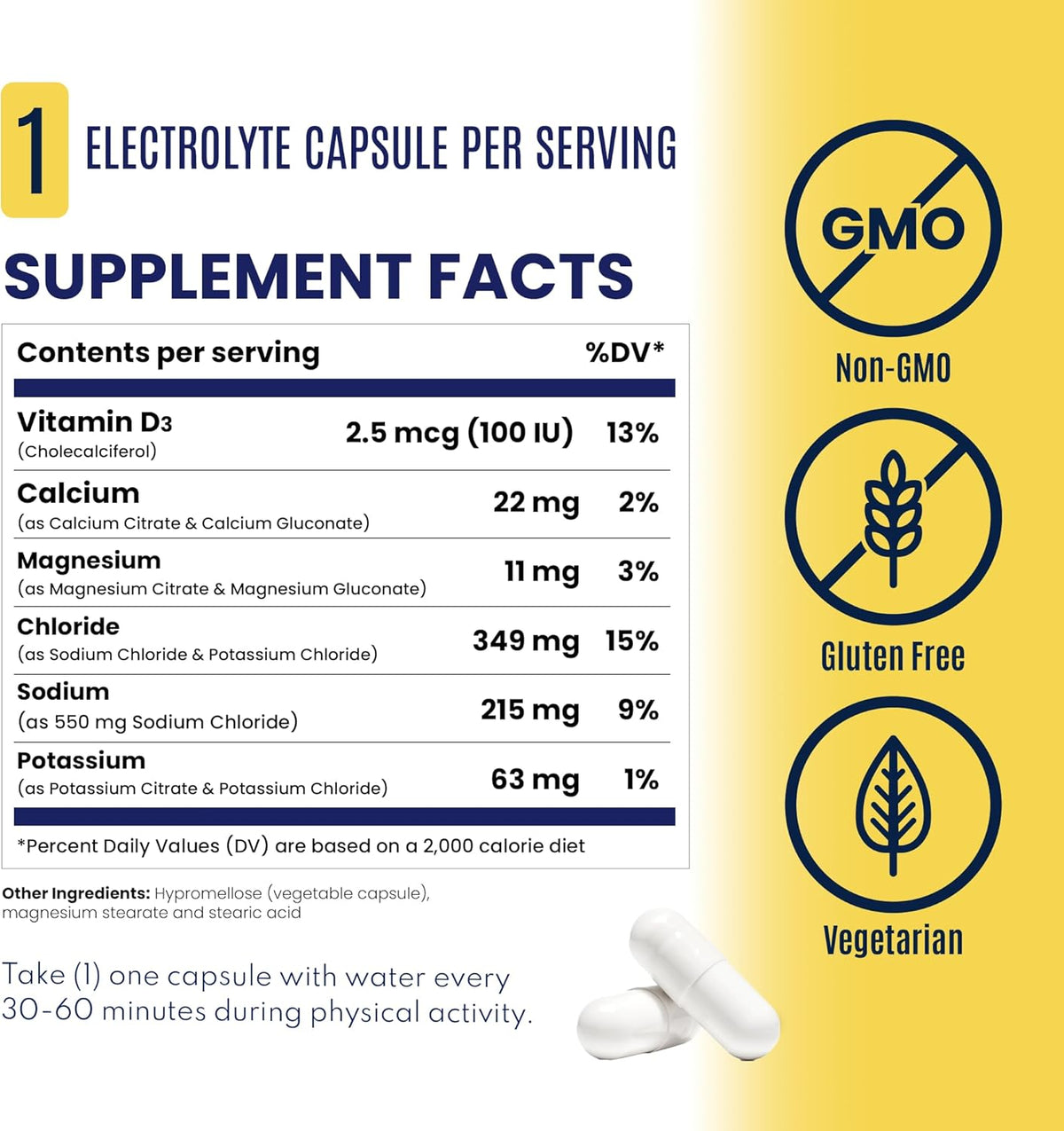 SaltStick Sugar Free Electrolytes Salt Pills 0 Calories 0 Sugar 100 Count