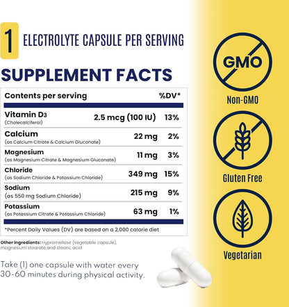SaltStick Sugar Free Electrolytes Salt Pills 0 Calories 0 Sugar 100 Count