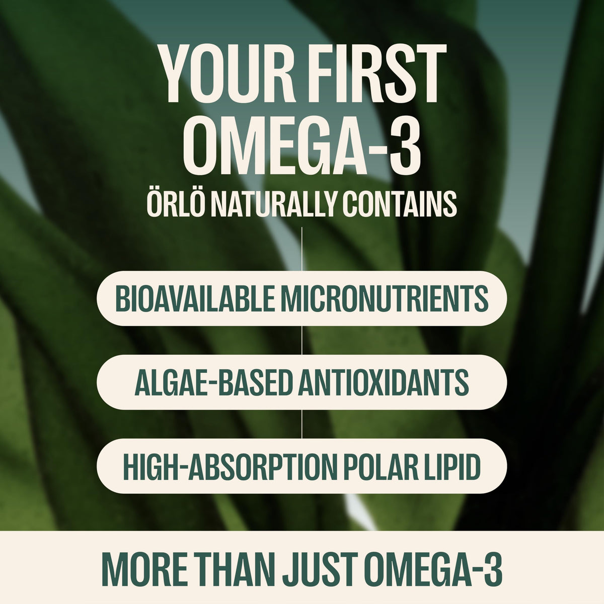 ORLO Prenatal DHA Supplement 1000mg - Mercury & Heavy Metals Free Algae Oil - Icelandic Nordic Omega-3, Mom & Baby Brain Development, No Fishy Aftertaste, 120 Vegan Easy-to-Swallow Mini Softgels & Jar