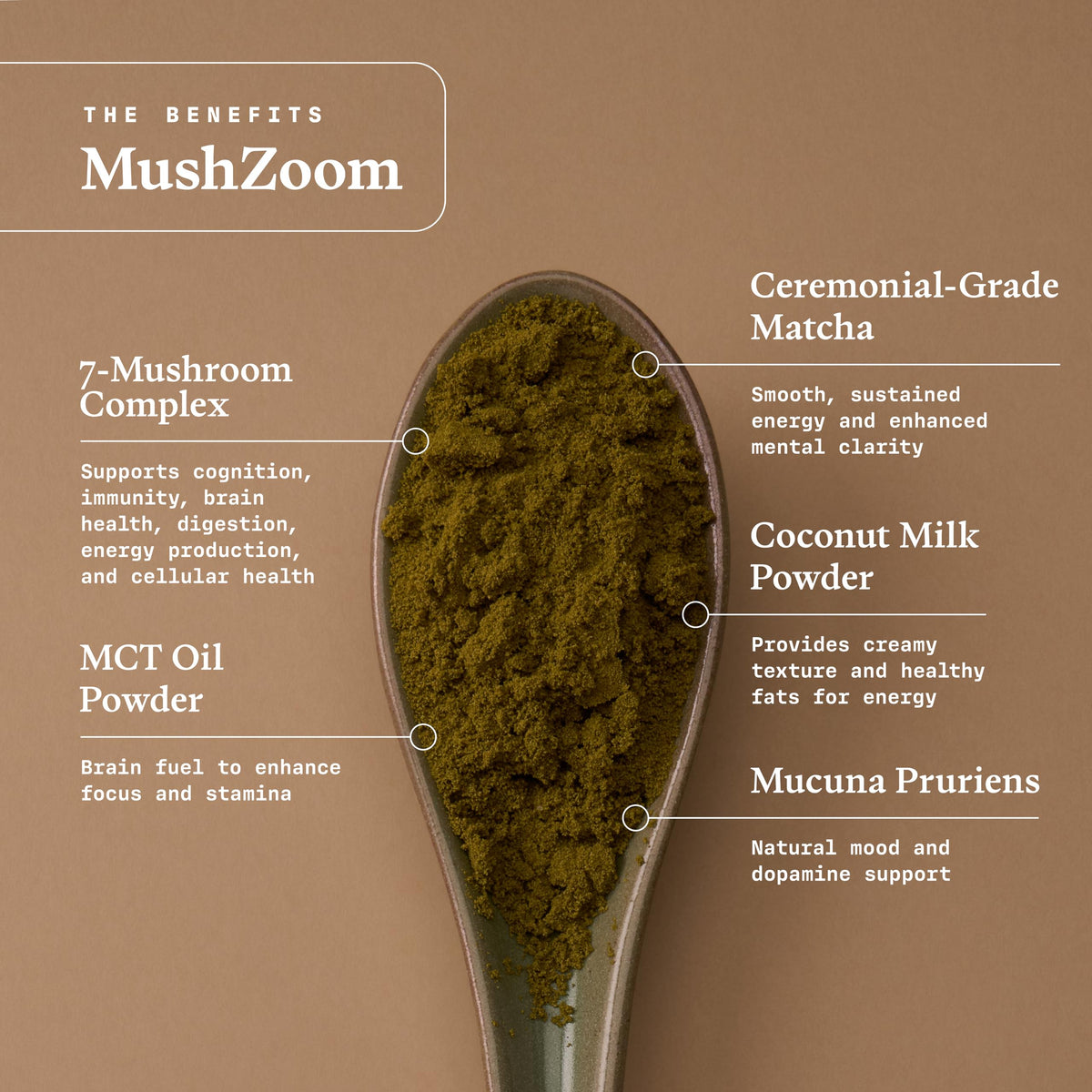 Ultra Life Sport - MushBoom Organic Mushroom Coffee Alternative Drink - 30 Servings 7 Mushroom Cacao Blend - Cordyceps, Lion’s Mane, Chaga, Maitake, Shiitake, Reishi & Turkey Tail - Caffeine Free