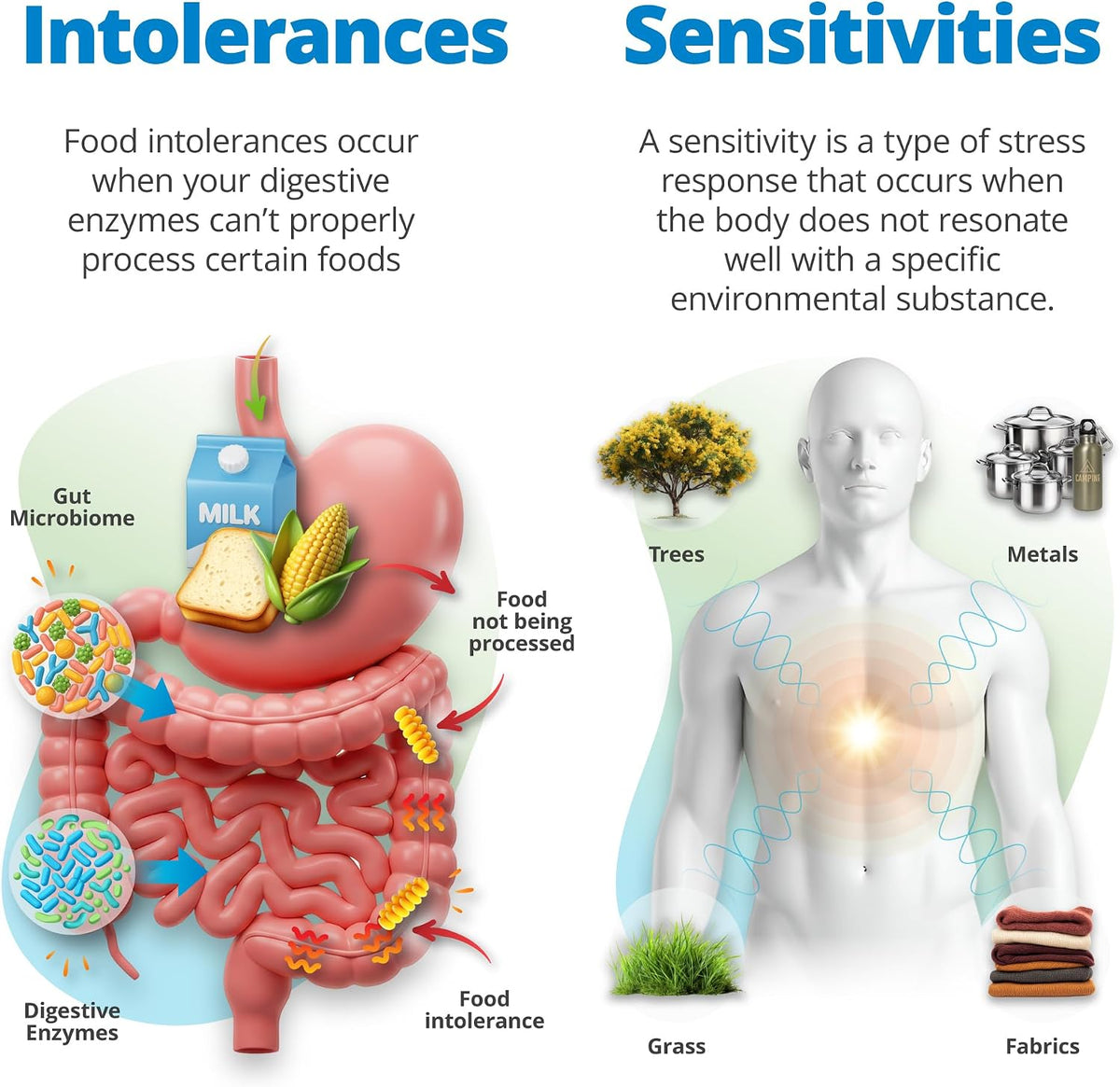 5Strands Food Intolerance & Environmental Sensitivity Test + Food & Beverage Intolerance Test, at Home Hair Analysis for Adults & Kids, Comprehensive Digestive Insight, Results in 4 Day