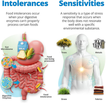 5Strands Food Intolerance & Environmental Sensitivity Test + Food & Beverage Intolerance Test, at Home Hair Analysis for Adults & Kids, Comprehensive Digestive Insight, Results in 4 Day