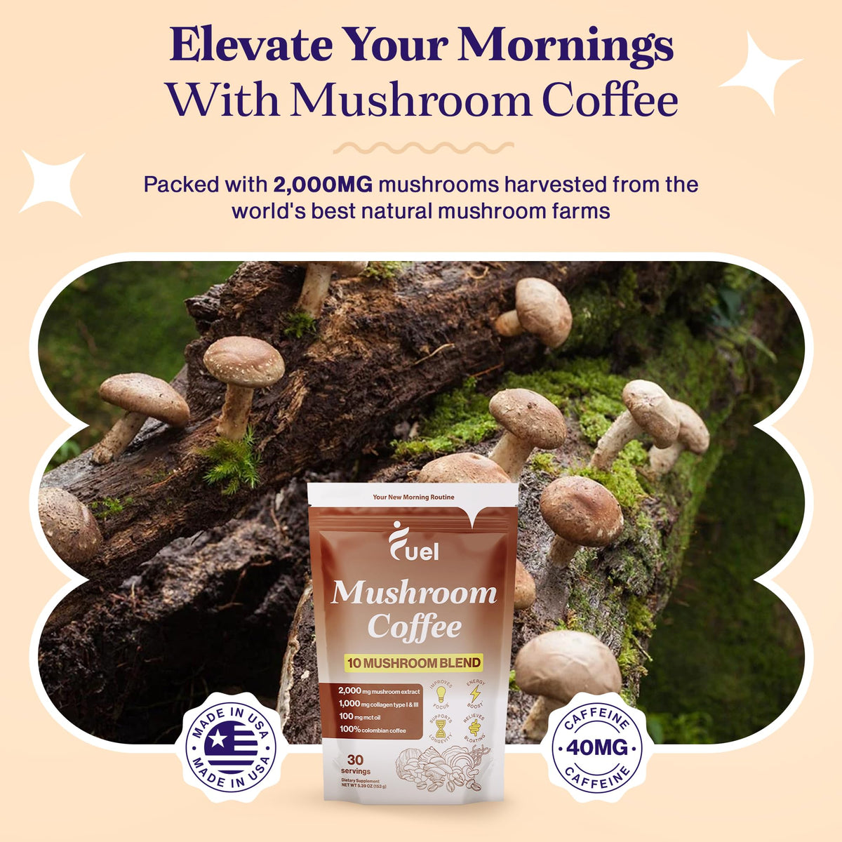 Fuel Brain Boost Mushroom Coffee Nutrition, Organic Blend for Gut Health, Lion's Mane Powder, Chaga & Mushroom Powder Low Caffeine Instant Coffee, Nootropics Drink, 30 Servings
