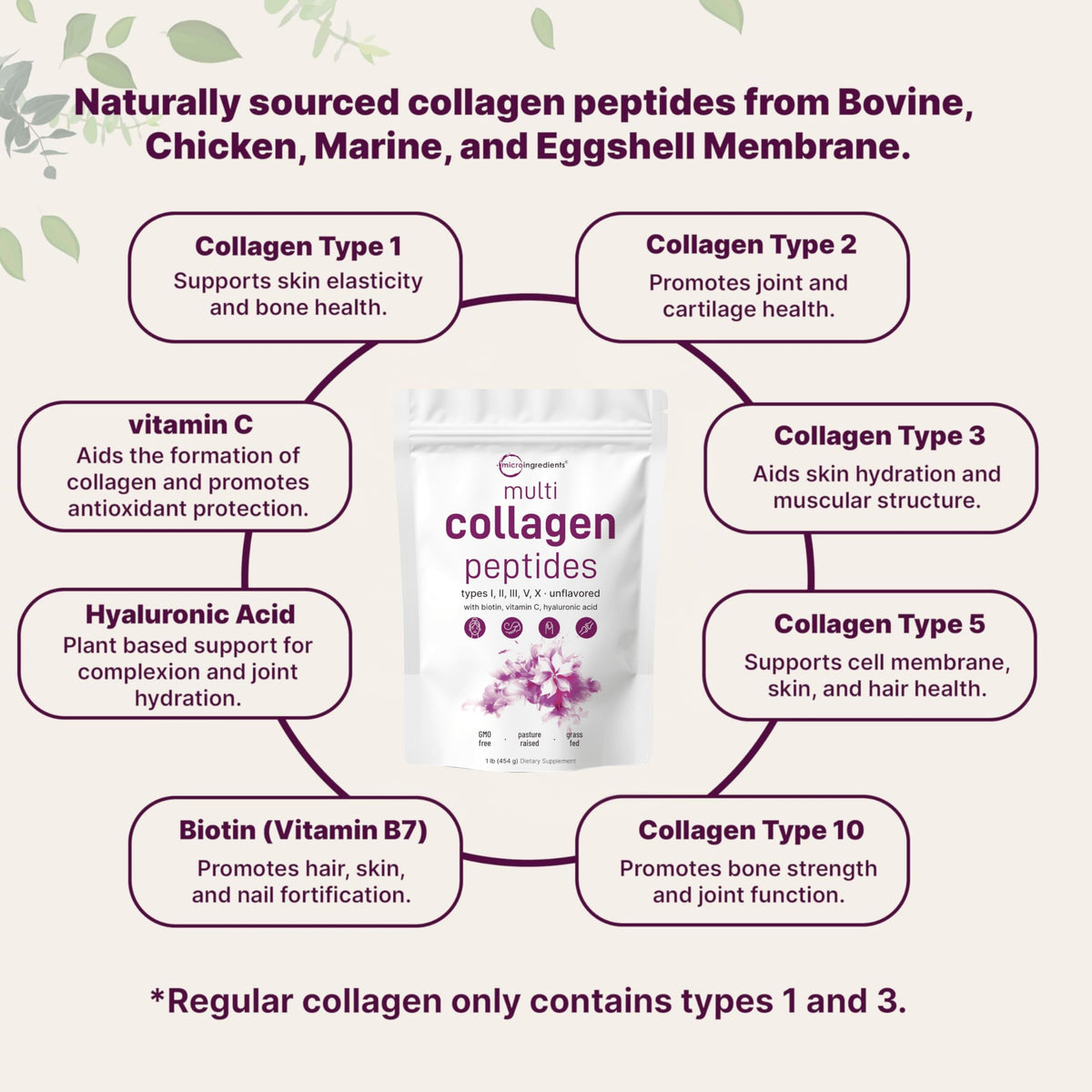 Suplement ​Micro Ingredients Multi Collagen Peptides Powder, 1lb – Hydrolyzed Type I,II,III,V,X with Biotin, Hyaluronic Acid, Vitamin C – Unflavored Collagen - VelvetGlow USA
