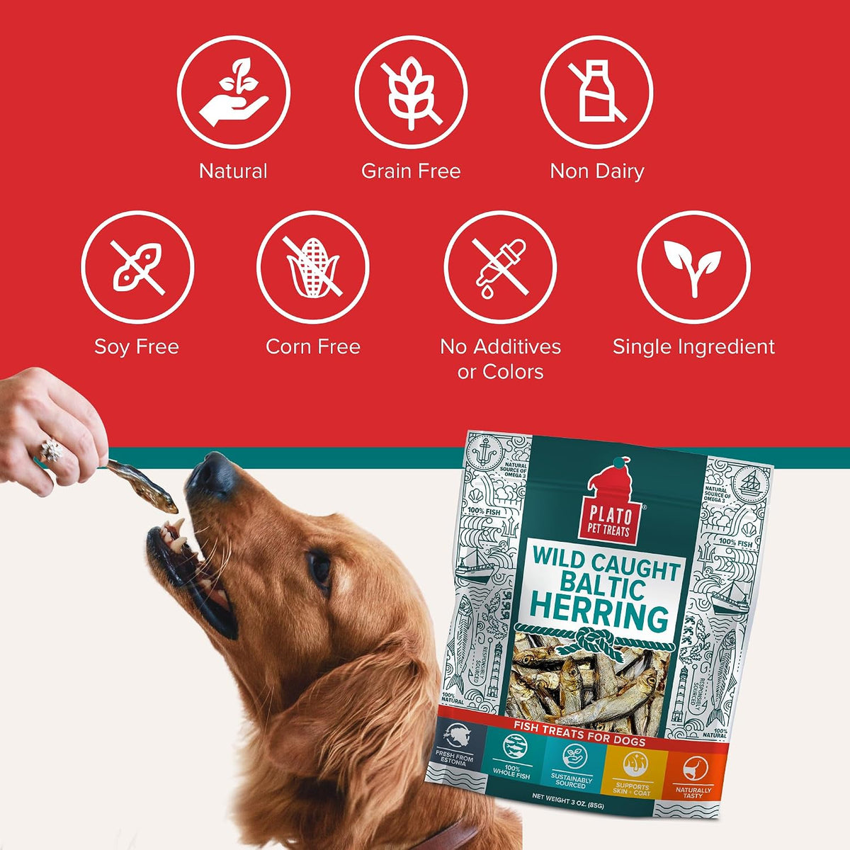 Plato Pet Treats Fish Dog Treats - Air-Dried, Single Ingredient Pet Treat - Omega 3 & 6 Fatty Acids to Support Skin and Coat - 100% Whole Fish - Wild Caught Baltic Herring - 3oz - 2 Pack